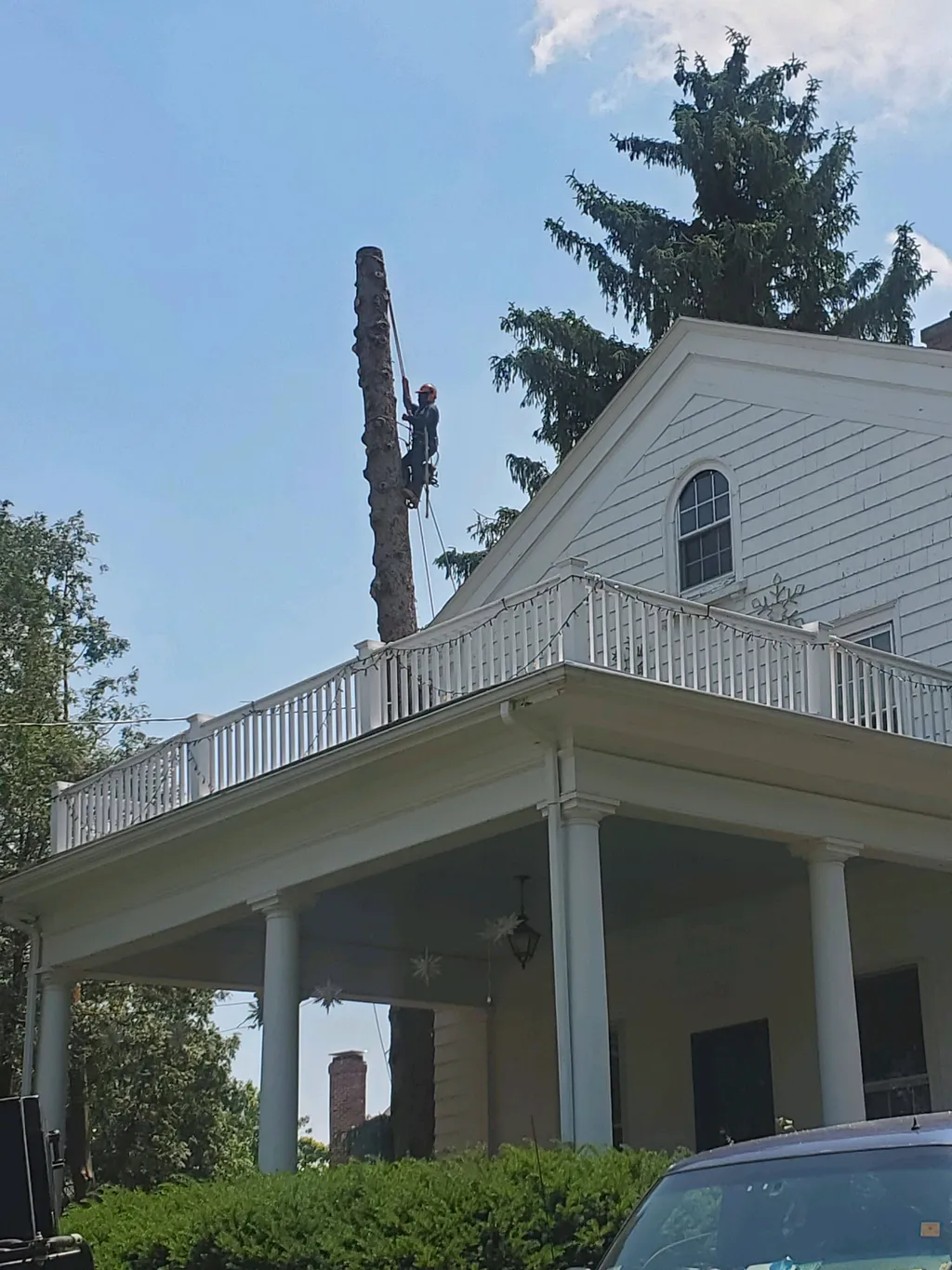 Concrete eddy b landscaping and tree services inc (16)