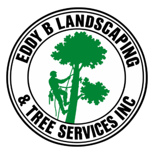 edyb landscaping logo brillo transparente